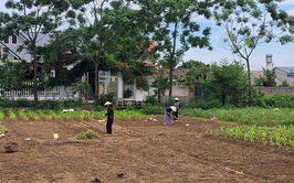 Nhân dân xã Phú Nghĩa tập trung sản xuất vụ Mùa 2025 đảm bảo trong khung thời vụ tốt nhất