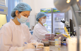 Ngành y tế Hà Nội lên phương án đáp ứng y tế phục vụ các hoạt động kỷ niệm 80 năm Quốc khánh