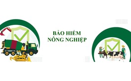 Danh mục thủ tục hành chính được sửa đổi, bổ sung trong lĩnh vực kinh doanh bảo hiểm