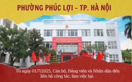 Địa điểm trụ sở làm việc của Đảng ủy - HĐND - UBND - Ủy ban MTTQ; Điểm phục vụ hành chính công; Công an phường; Quân sự phường và các đơn vị sự nghiệp phường Phúc Lợi