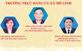 Giới thiệu bộ máy tổ chức của xã Mê Linh