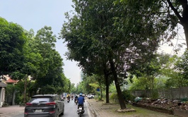 Ngày 16/7, Hà Nội sáng có nơi có mưa, trưa và chiều nóng cục bộ, đêm trời oi bức
