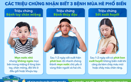 Ủy ban nhân dân xã Phú Nghĩa chỉ đạo tăng cường công tác phòng, chống dịch bệnh trong mùa hè