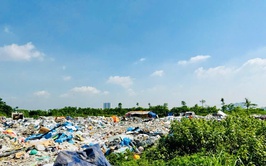 Xử lý dứt điểm các vi phạm trên đất nông nghiệp tại Khu tây làng (xã Yên Mỹ cũ)