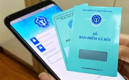 Thông báo về địa chỉ, các cơ quan bảo hiểm xã hội cơ sở Chương Mỹ, Đan Phượng, Thạch Thất, Thường Tín, Ứng Hòa trên địa bàn thành phố Hà Nội