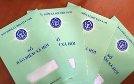 Thông báo về địa chỉ, địa bàn quản lý của các cơ quan bảo hiểm trên địa bàn Thành phố
