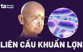 TUYÊN TRUYỀN BỆNH LIÊN CẦU LỢN LÂY CHO NGƯỜI VÀ CÁC BIỆN PHÁP PHÒNG TRÁNH
