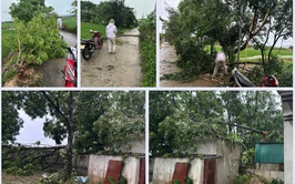 XÃ HÒA XÁ KHẮC PHỤC HẬU QUẢ MƯA TO, GIÔNG, LỐC CHIỀU 19/7 VÀ CHỦ ĐỘNG ỨNG PHÓ VỚI BÃO SỐ 3