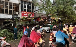 Phường Ngọc Hà khẩn trương khắc phục hậu quả sau cơn giông lốc mạnh chiều 19/7