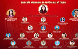 Giới thiệu bộ máy tổ chức của phường Hai Bà Trưng.