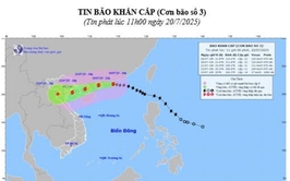 Tin bão khẩn cấp (Cơn bão số 3)