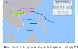 Chủ động ứng phó với bão số 3: GIÓ MẠNH, MƯA LỚN TỪ ĐÊM 21/7