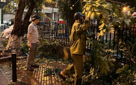 Lãnh đạo phường Cầu Giấy trực tiếp kiểm tra, chỉ đạo khắc phục hậu quả mưa giông chiều tối ngày 19/7/2025