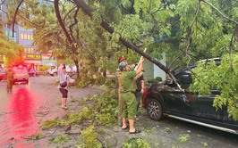 BAN CHỈ ĐẠO 197 PHƯỜNG KIM LIÊN: CHỦ ĐỘNG, QUYẾT LIỆT KHẮC PHỤC HẬU QUẢ GIÔNG BÃO, ĐẢM BẢO AN TOÀN CHO NHÂN DÂN