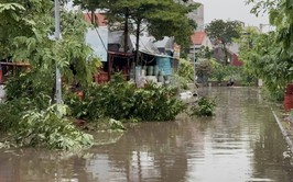 Thành phố Hà Nội ngày có mưa vài nơi, chiều tối có mưa rào và dông