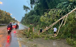 Tăng cường công tác phòng, chống bão Wipha