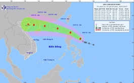 Bão số 3 tiến gần đất liền, người dân nên làm gì để ứng phó?