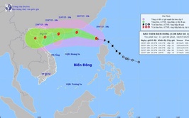Tin bão khẩn cấp