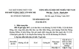 Tin bão khẩn cấp cơn bão số 3