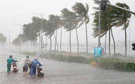 Phường Giảng Võ: Hướng dẫn kỹ năng ứng phó với bão số 3 và mưa, lũ sau bão