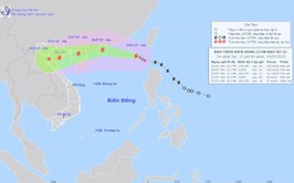Xuân Mai: Chủ động, tập trung ứng phó bão số 3 năm 2025 trên địa bàn