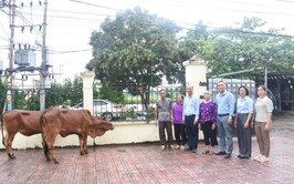 TRAO BÒ GIỐNG SINH SẢN HỖ TRỢ PHÁT TRIỂN SINH KẾ CHO 2 HỘ CÓ HOÀN CẢNH KHÓ KHĂN TẠI THÔN THỐNG NHẤT.