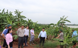 XÃ PHÚ XUYÊN CHỦ ĐỘNG ỨNG PHÓ BÃO SỐ 3