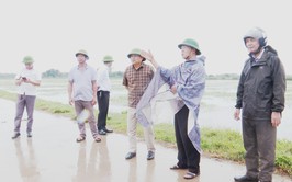 Đồng chí Chủ tịch UBND xã Phú Xuyên kiểm tra công tác phòng, chống bão số 3 tại các điểm trọng yếu