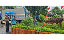 02 hộ nông dân xã Thanh Oai được hỗ trợ bò giống sinh sản