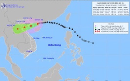 Ban Chỉ huy PCTT&TKCN xã Hoài Đức ban hành văn bản hoả tốc chủ động ứng phó với cơn bão số 3 và mưa lớn trên địa bàn