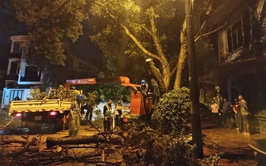 Đảng ủy phường Tùng Thiện tăng cường lãnh đạo, chỉ đạo công tác phòng chống thiên tai, cứu hộ, cứu nạn mùa mưa bão năm 2025