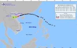Bão số 3 vào đất liền, gió mạnh, Hà Nội có mưa vừa, mưa to đến rất to