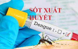 Tăng cường phòng, chống bệnh sốt xuất huyết