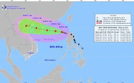 Bản tin cơn bão số 3 lúc 8h ngày 22/7/2025