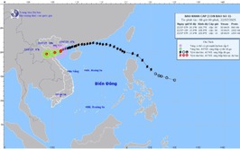 Tin bão khẩn cấp (Cơn bão số 3)