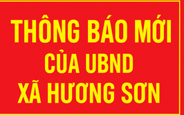 UBND xã Hương Sơn thông báo tiếp nhận hồ sơ năng lực các đơn vị cung cấp thực phẩm, suất ăn, nước uống cho học sinh bán trú