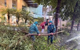 Phường Đống Đa sẵn sàng ứng phó với bão số 3