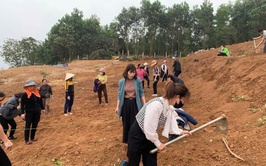 Trung tâm Phục vụ hành chính công thành phố Hà Nội phê duyệt 31 quy trình giải quyết thủ tục hành chính thuộc lĩnh vực Trồng trọt, Bảo vệ thực vật, Khoa học công nghệ