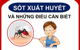 Cách phòng bệnh Sốt xuất huyết