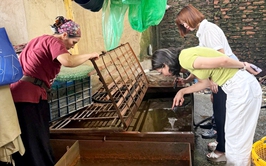 Phường Thanh Xuân ra quân tổng vệ sinh môi trường - diệt bọ gậy phòng chống sốt xuất huyết 