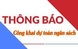 CÔNG KHAI DỰ TOÁN NGÂN SÁCH XÃ ĐÔNG ANH NĂM 2025