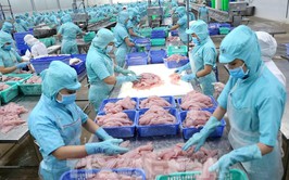 Phản bác quan điểm sai trái, xuyên tạc dự thảo các văn kiện của Đảng về các thành phần kinh tế