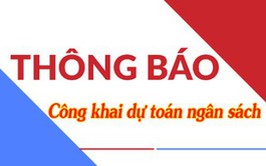 CÔNG KHAI DỰ TOÁN NGÂN SÁCH PHÒNG KINH TẾ XÃ ĐÔNG ANH NĂM 2055