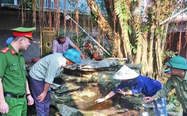 Hà Nội huy động các tổ chức tham gia diệt lăng quăng phòng, chống sốt xuất huyết