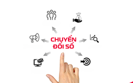 Kế hoạch triển khai Chiến dịch 