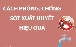 Cách phòng, tránh sốt xuất huyết hiệu quả