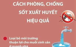 Cách phòng, tránh sốt xuất huyết hiệu quả