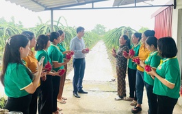 Hội Nông dân xã Thư Lâm tham quan, học tập mô hình trồng cây thanh long hiệu quả