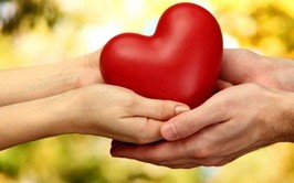 HIẾN GAN CỨU EM – TÌNH YÊU THƯƠNG BẤT DIỆT