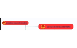Sơ đồ bộ máy tổ chức